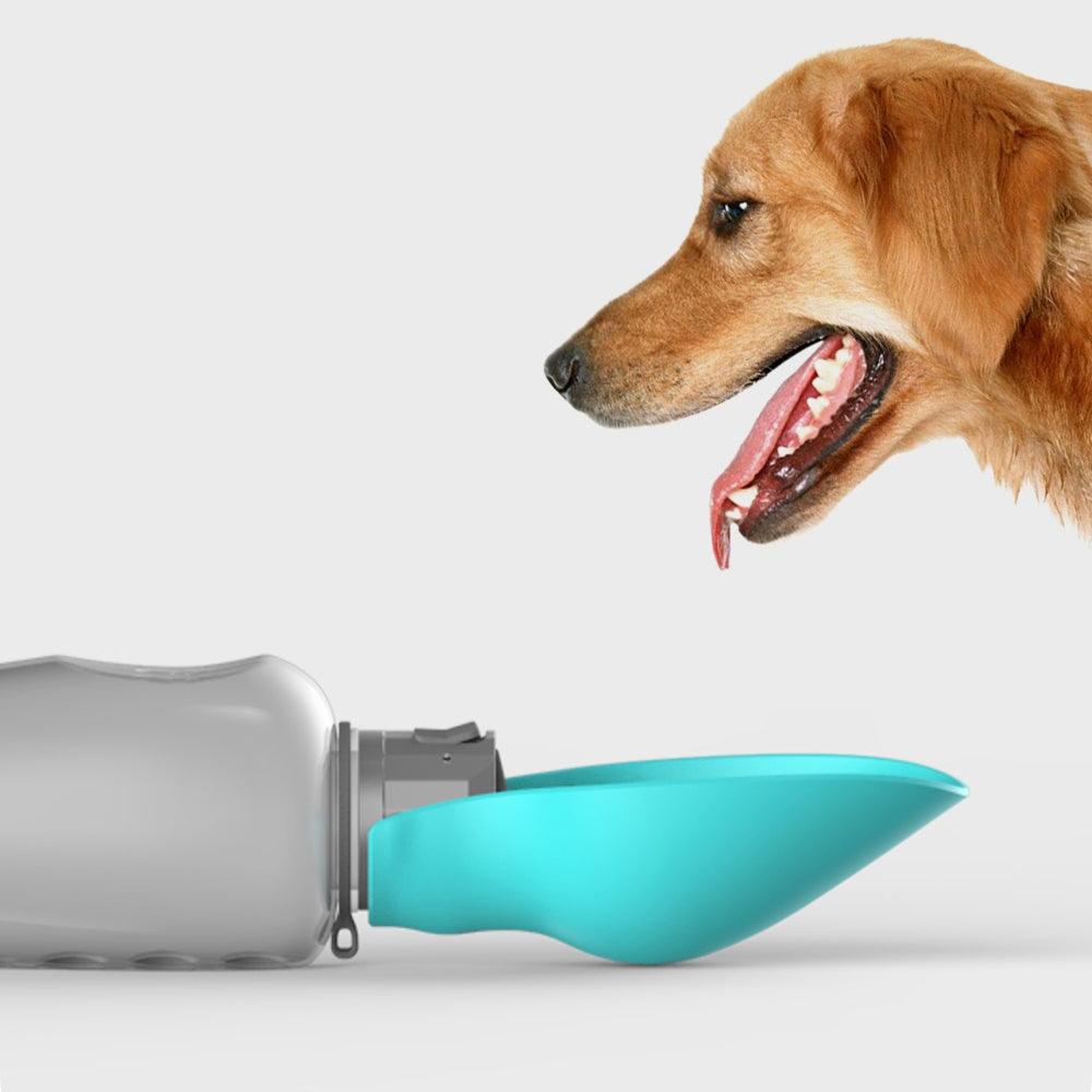 Water Bottle For Dogs Outdoor Travel Drinking